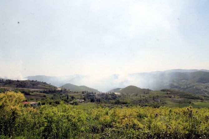 Suriye-Türkiye sınırındaki orman yangını