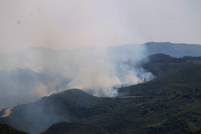Suriye-Türkiye sınırındaki orman yangını