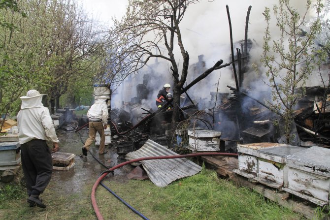 Çankırı'da 30 kovan arı yangında telef oldu