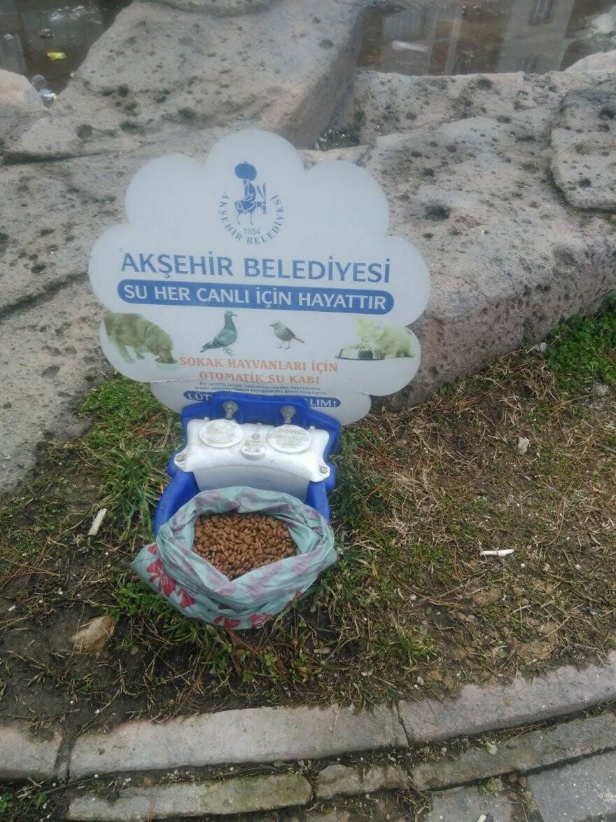 aw972472-01.jpg
