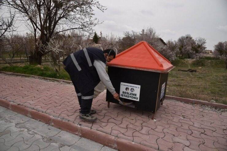 Selçuklu Belediyesi Sokak Hayvanlarını Unutmadı