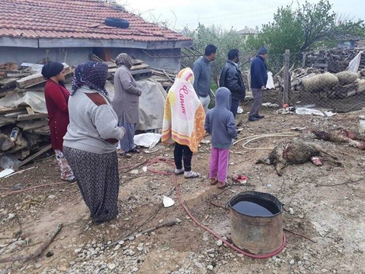 KURTLAR 20 KOYUNU TELEF ETTİ