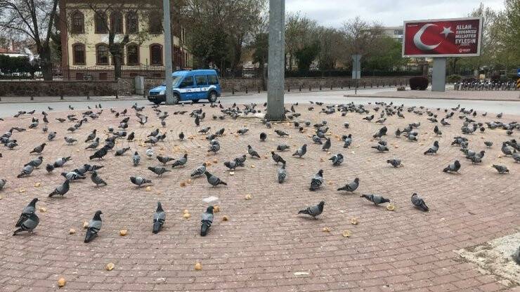 Trafik polisinden yürek ısıtan görüntü