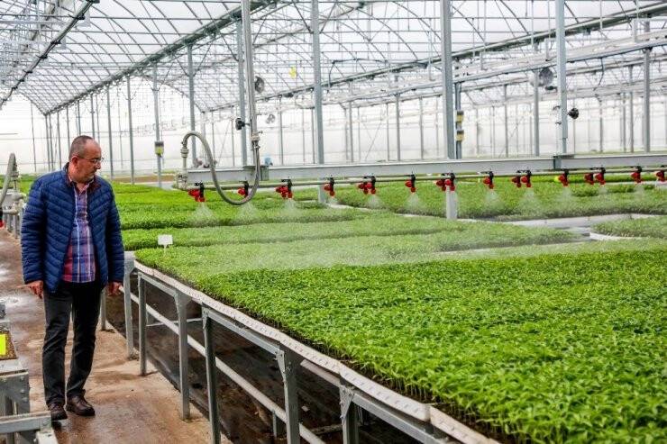 Meram Sebze Fidesi Üretim Tesisinde Fide Satışları Başladı