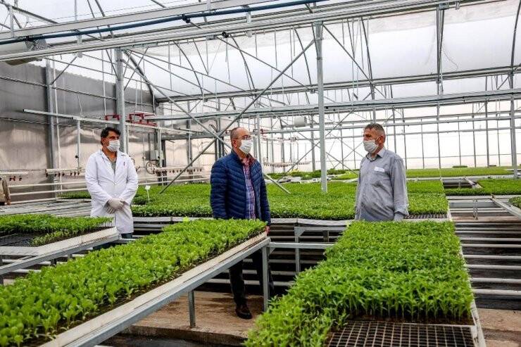 Meram Sebze Fidesi Üretim Tesisinde Fide Satışları Başladı