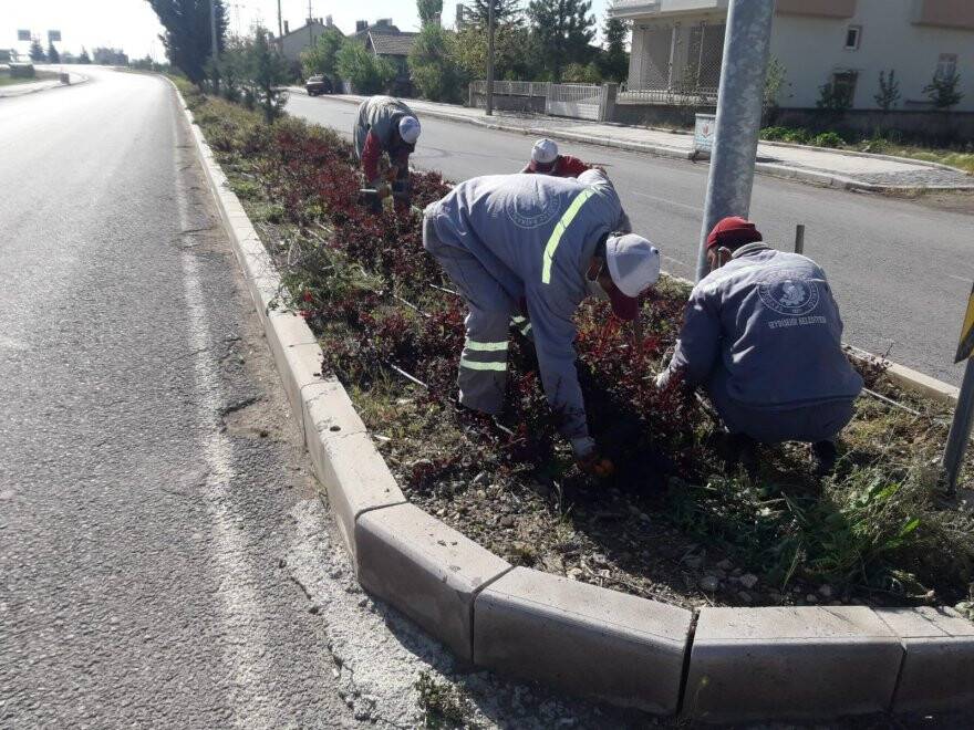 cevre-temizligi-1.jpg