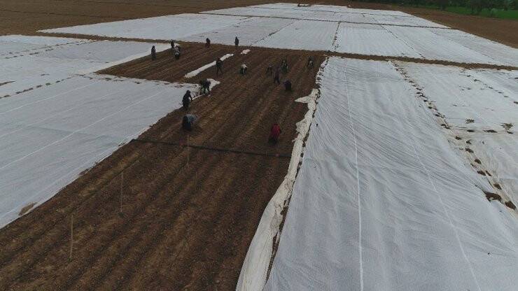 Konya’da Tarlalarda Çapa Mesaisi Başladı