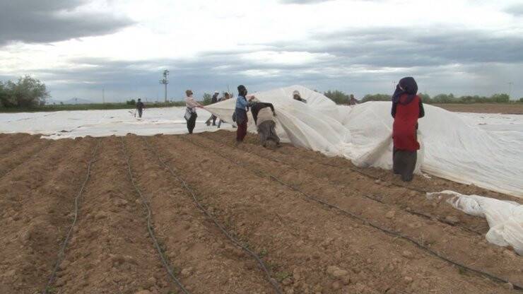 Konya’da Tarlalarda Çapa Mesaisi Başladı