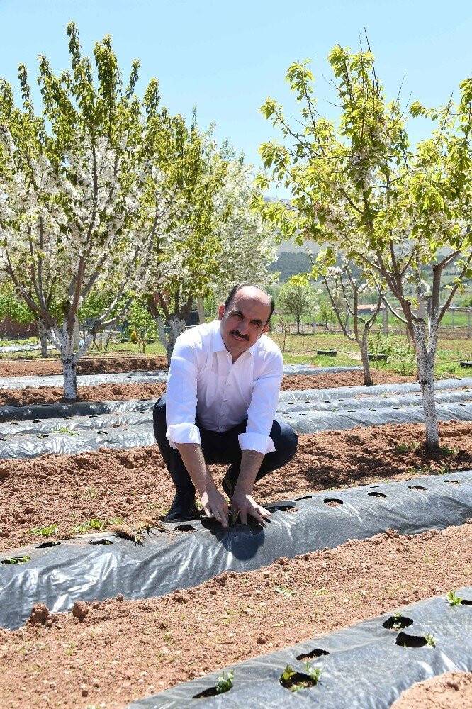 Başkan Altay: Tarıma 255 milyon liralık bütçe ayrıldı