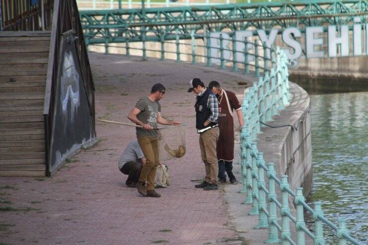 Sulama Kanalından Balık Kurtarma Operasyonu