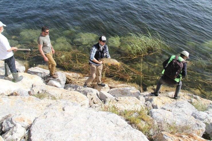 Sulama Kanalından Balık Kurtarma Operasyonu
