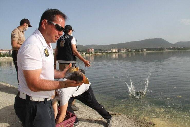 Beyşehir Gölüne Balık Taşıma Mesaisi Sürüyor