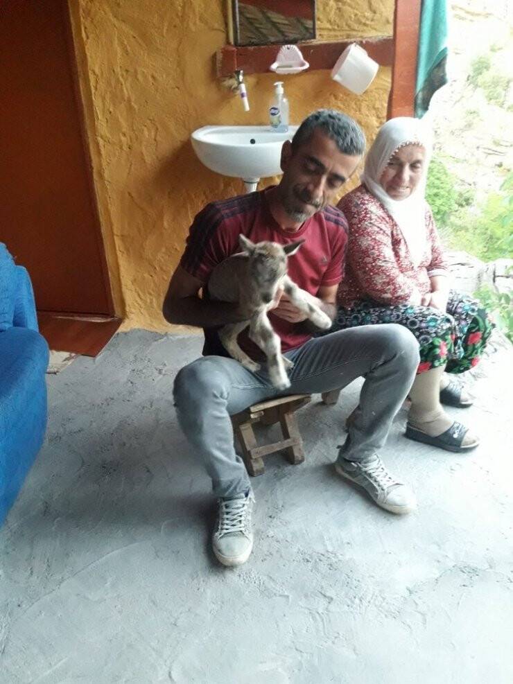 Minik Dağ Keçisi Annesine Kavuştu