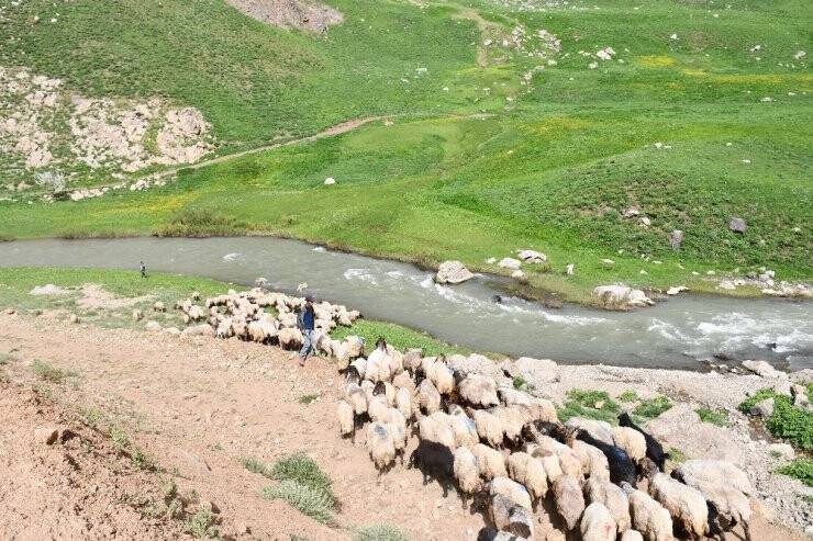 Terörün Kökü Kazındı Yaylalar Göçerlerle Dolup Taştı