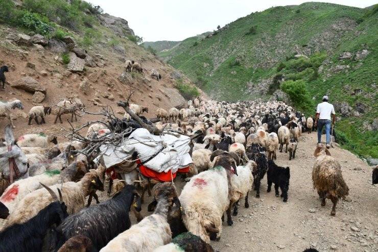Terörün Kökü Kazındı Yaylalar Göçerlerle Dolup Taştı