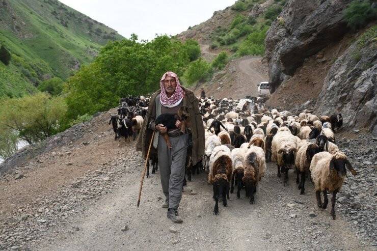 Terörün Kökü Kazındı Yaylalar Göçerlerle Dolup Taştı