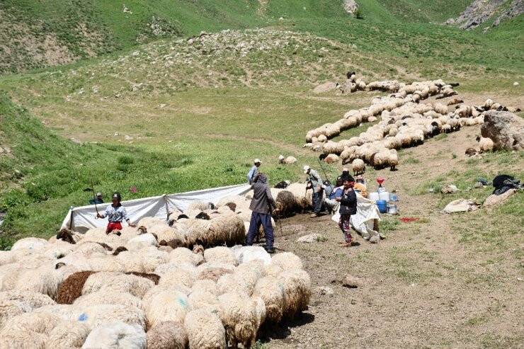 Terörün Kökü Kazındı Yaylalar Göçerlerle Dolup Taştı