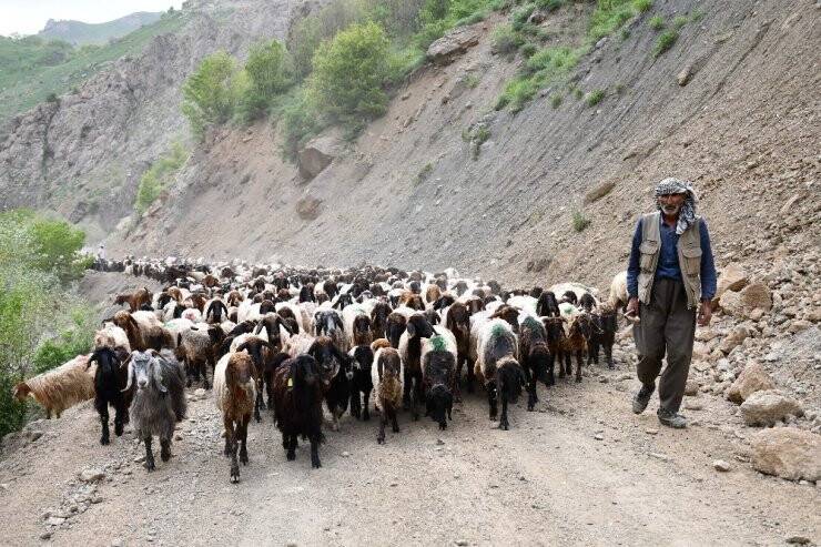 Terörün Kökü Kazındı Yaylalar Göçerlerle Dolup Taştı