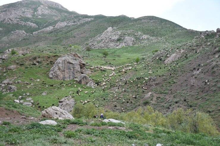 Terörün Kökü Kazındı Yaylalar Göçerlerle Dolup Taştı