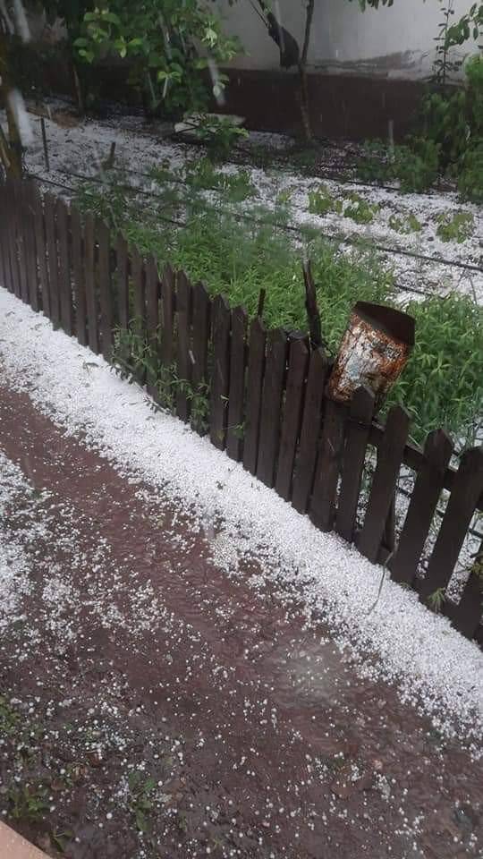 Üreticierin Dolu Şaşkınlığı