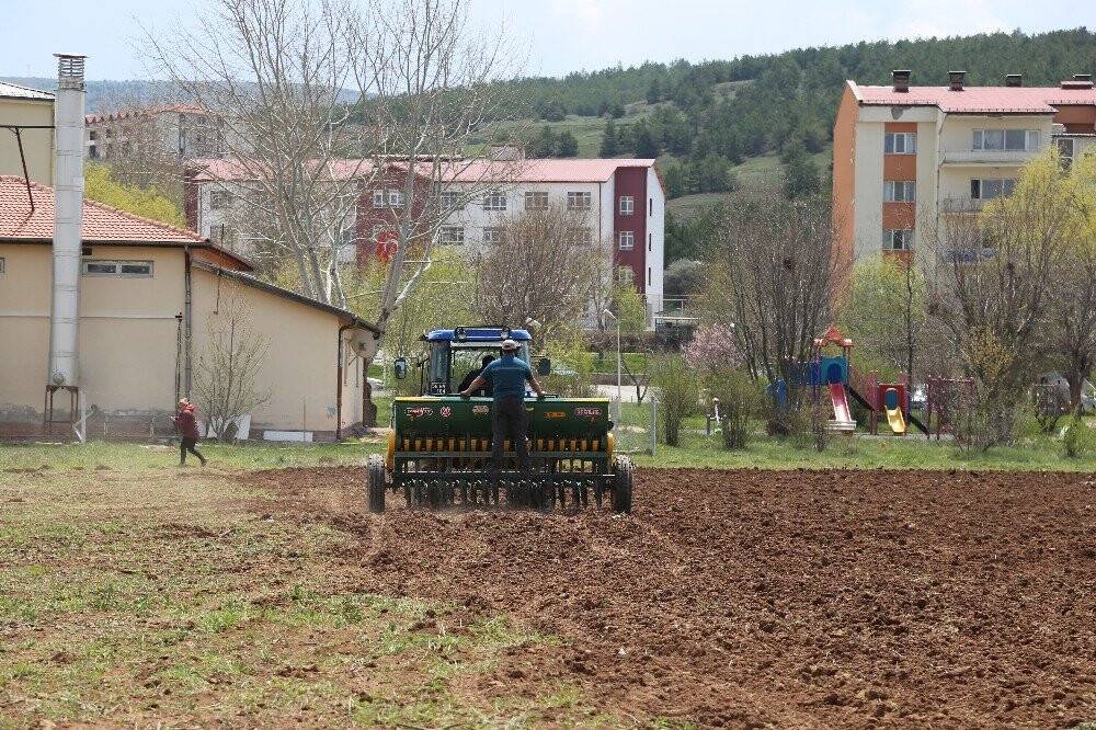 13 Bin Yıldır Genetiği Bozulmadı