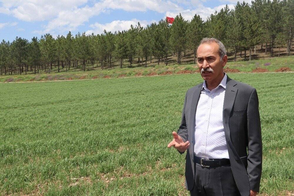 13 Bin Yıldır Genetiği Bozulmadı