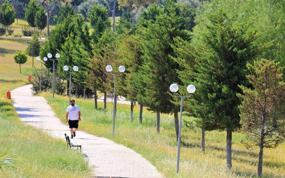 Toroslar’ın Parkları Kır Çiçekleriyle Renklendi