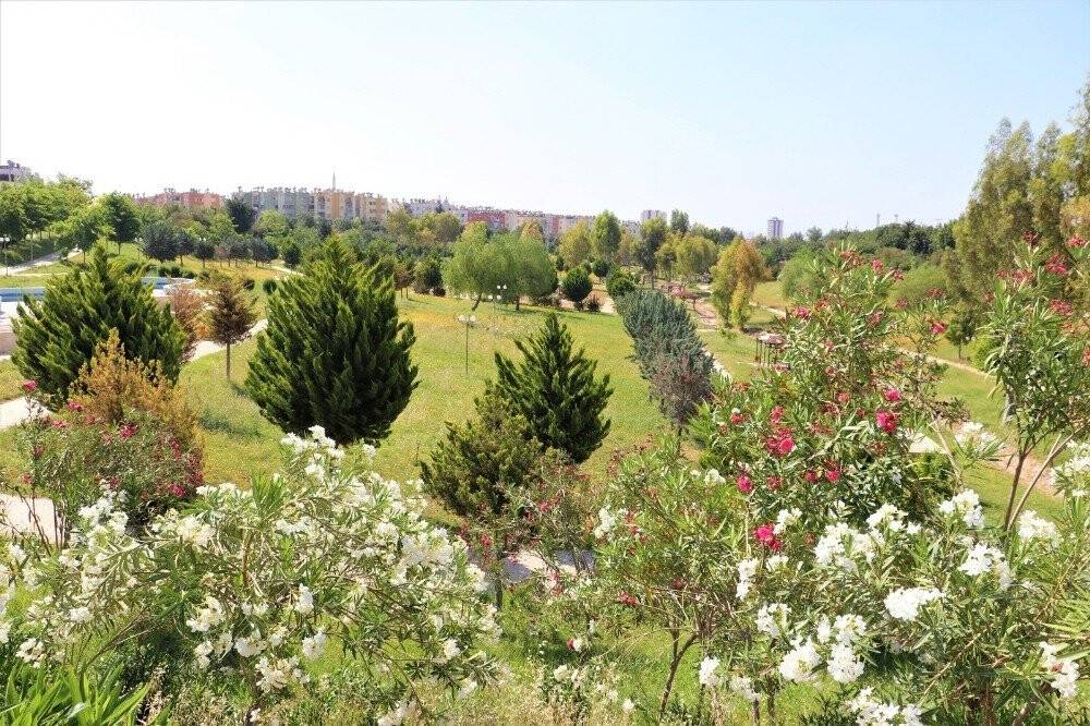 Toroslar’ın Parkları Kır Çiçekleriyle Renklendi