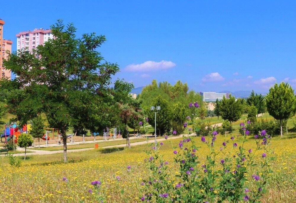 Toroslar’ın Parkları Kır Çiçekleriyle Renklendi