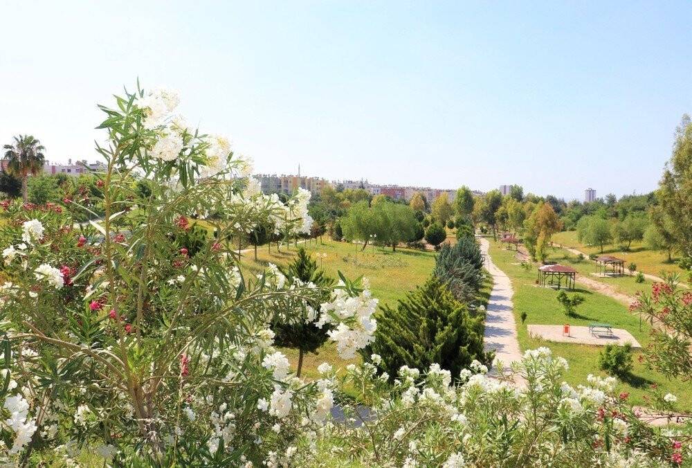 Toroslar’ın Parkları Kır Çiçekleriyle Renklendi