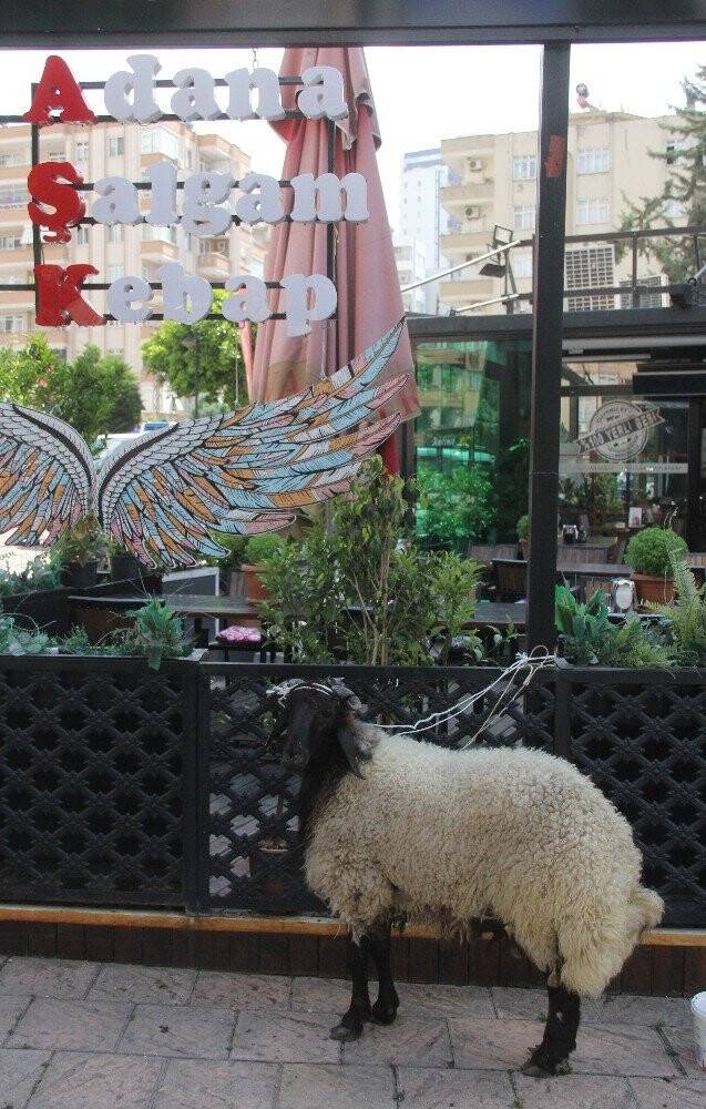 Kebapçıda normalleşmeye davul zurnalı açılış
