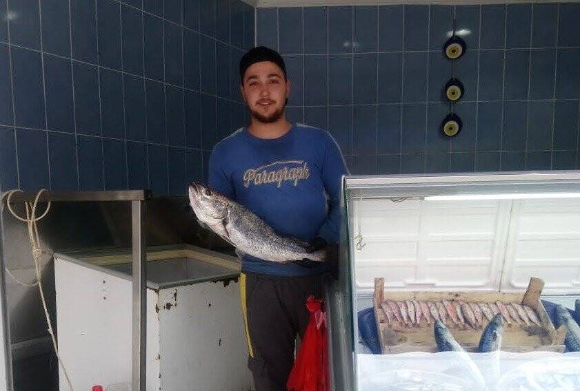 Vatandaşlar ucuzlayan balığa yöneldi