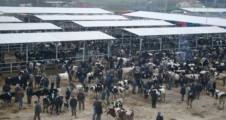 Ödemiş Hayvan Pazarı açılıyor