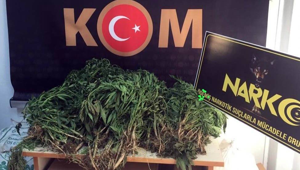 İzmir’de uyuşturucu operasyonu