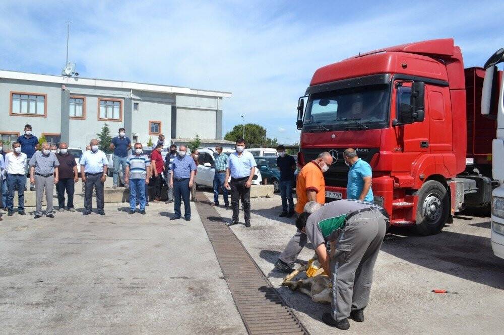 7 ile 170 bin ton yardım kömürü sevkiyatı başladı