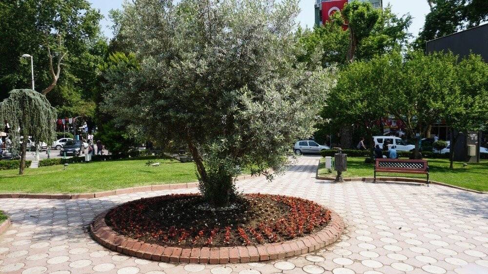 İzmit’te çiçekler toprakla buluşmaya devam ediyor