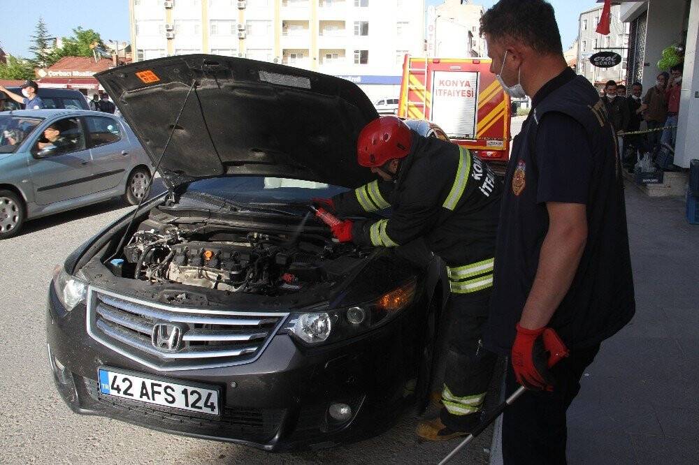 Otomobile giren yılan paniğe yol açtı