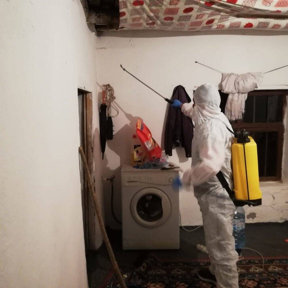 Yılan görülen ev ilaçlandı