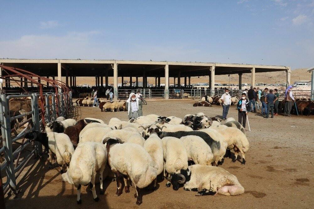 Hayvan pazarında çubuklu anlaşma dönemi