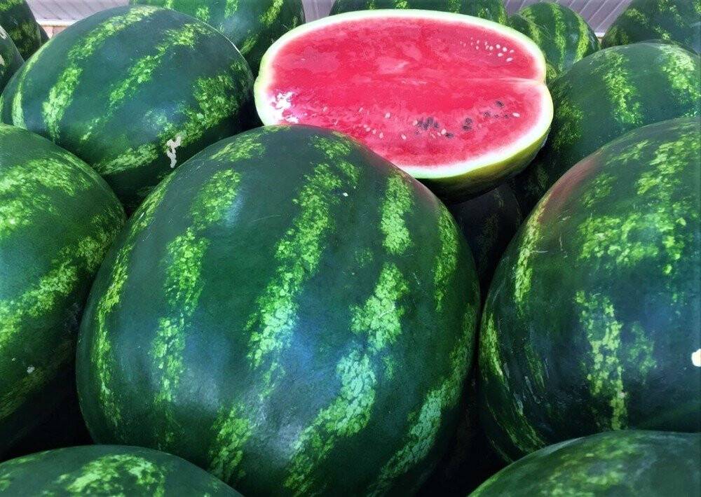 Karpuzda o devir artık sona erdi