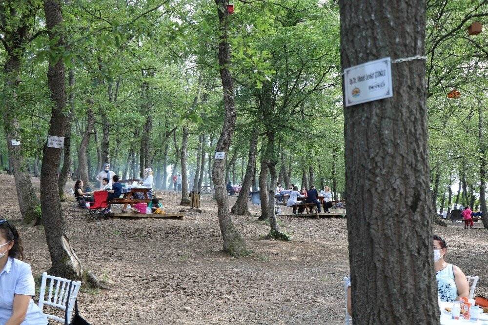 Koronaya yenik düşen sağlık çalışanlarının isimleri ağaçlara verildi