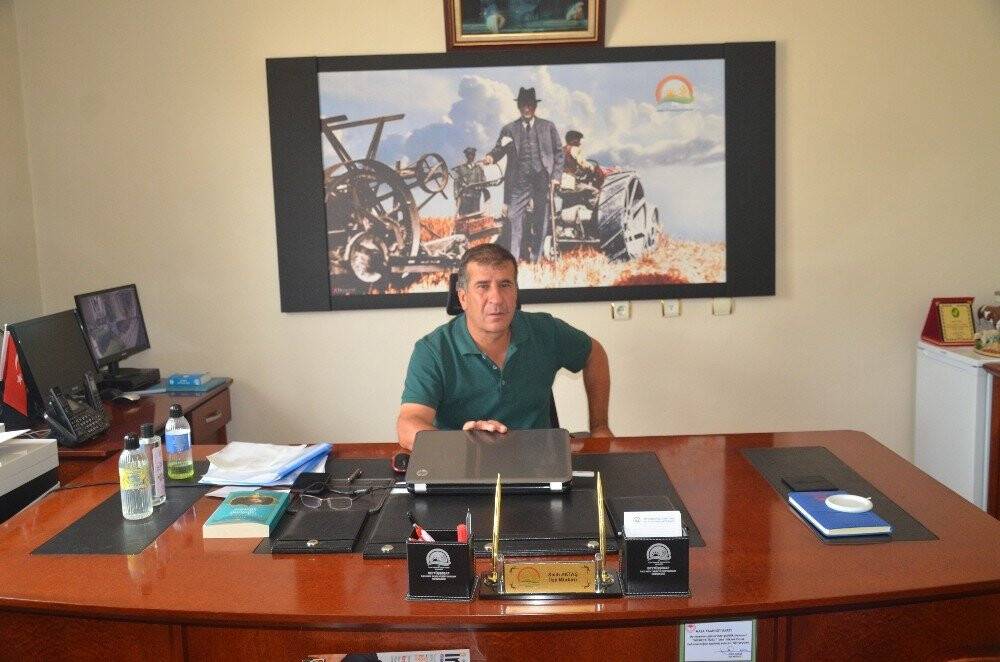 Tırtıl istilası başladı
