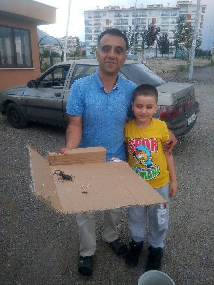 Konya’da 'geyik' böceği bulundu