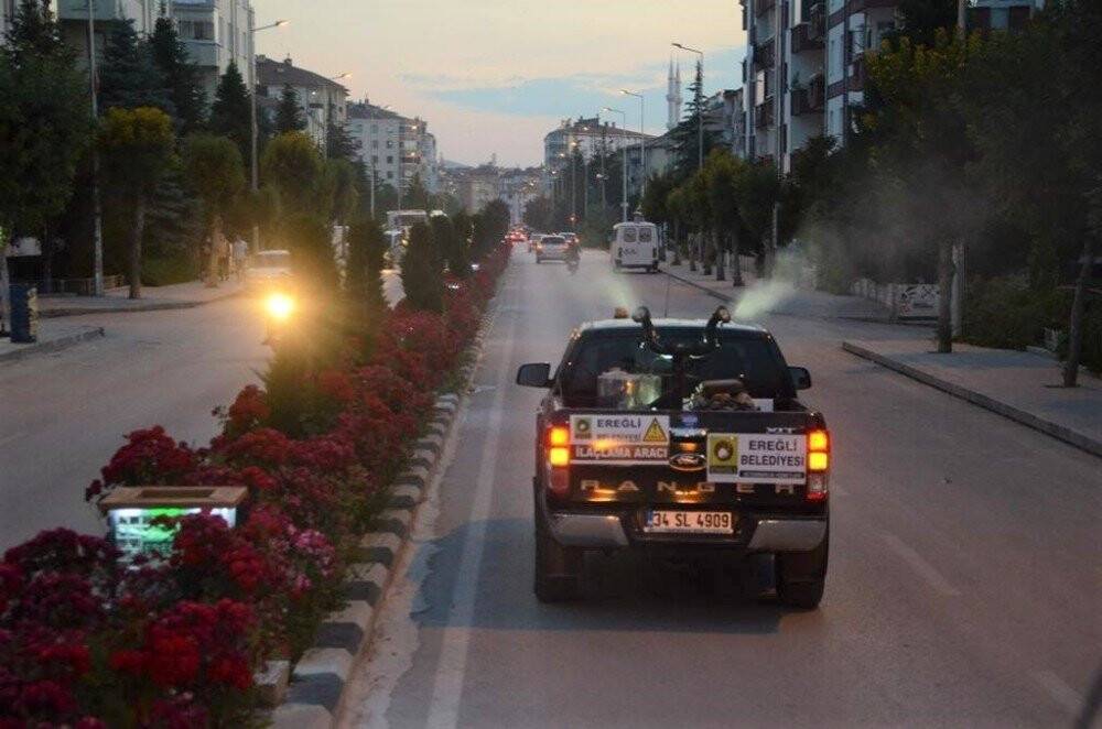 Ereğli'de sinek ve haşerelere karşı erken önlem