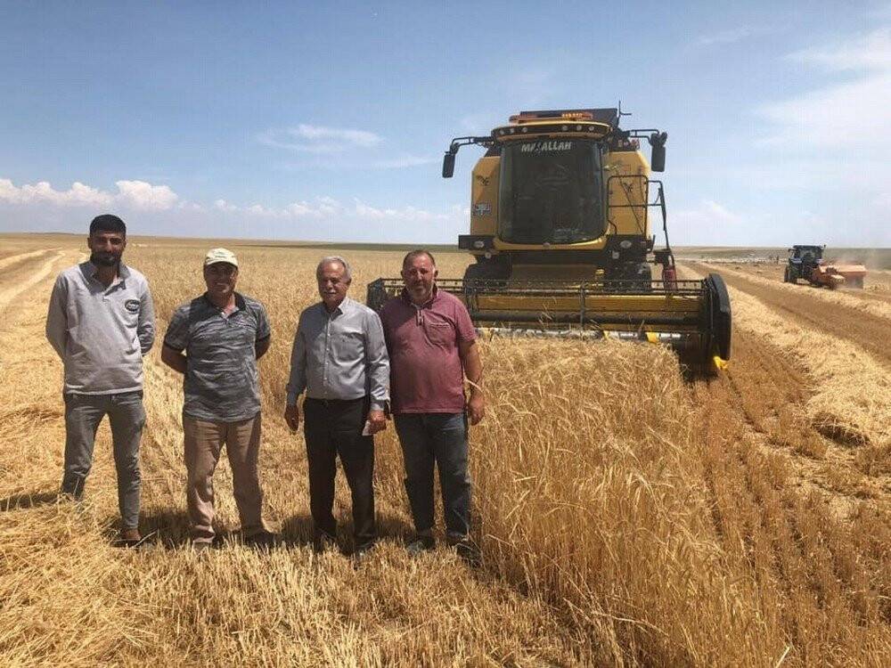 Konya'da arpa hasadı başladı