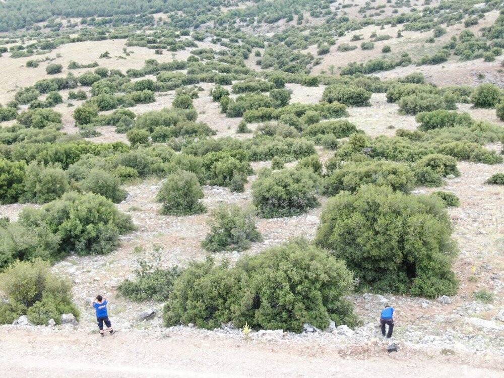 Kaybolan zihinsel engelli kadın 12 saattir aranıyor