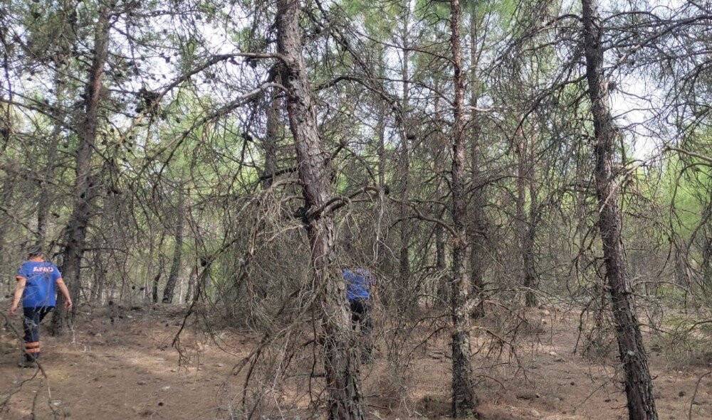 Kaybolan zihinsel engelli kadın 12 saattir aranıyor
