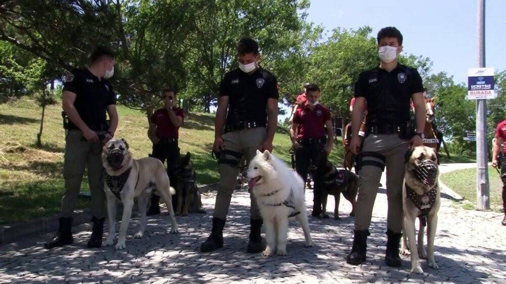 Atlı polislerden korona virüs denetimi