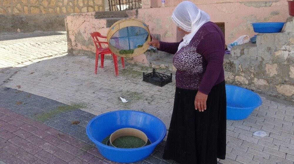 Dağlardan topladığı kekikler geçim kaynağı oldu