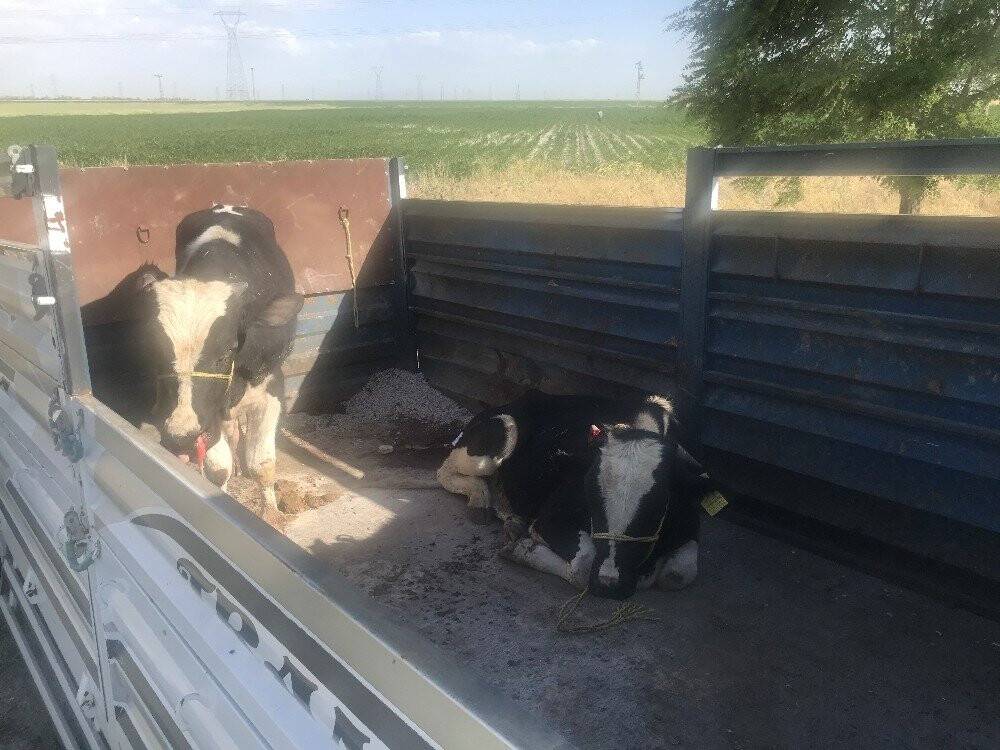 Konya'da Feci Kaza:  2 Ölü